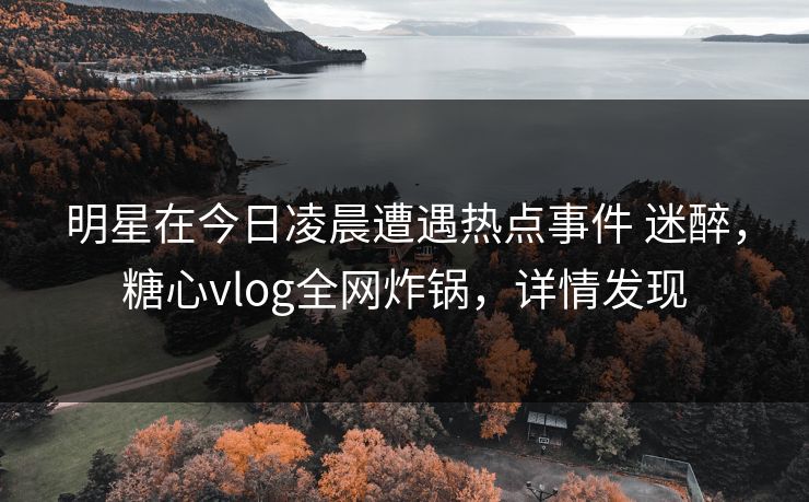 明星在今日凌晨遭遇热点事件 迷醉，糖心vlog全网炸锅，详情发现